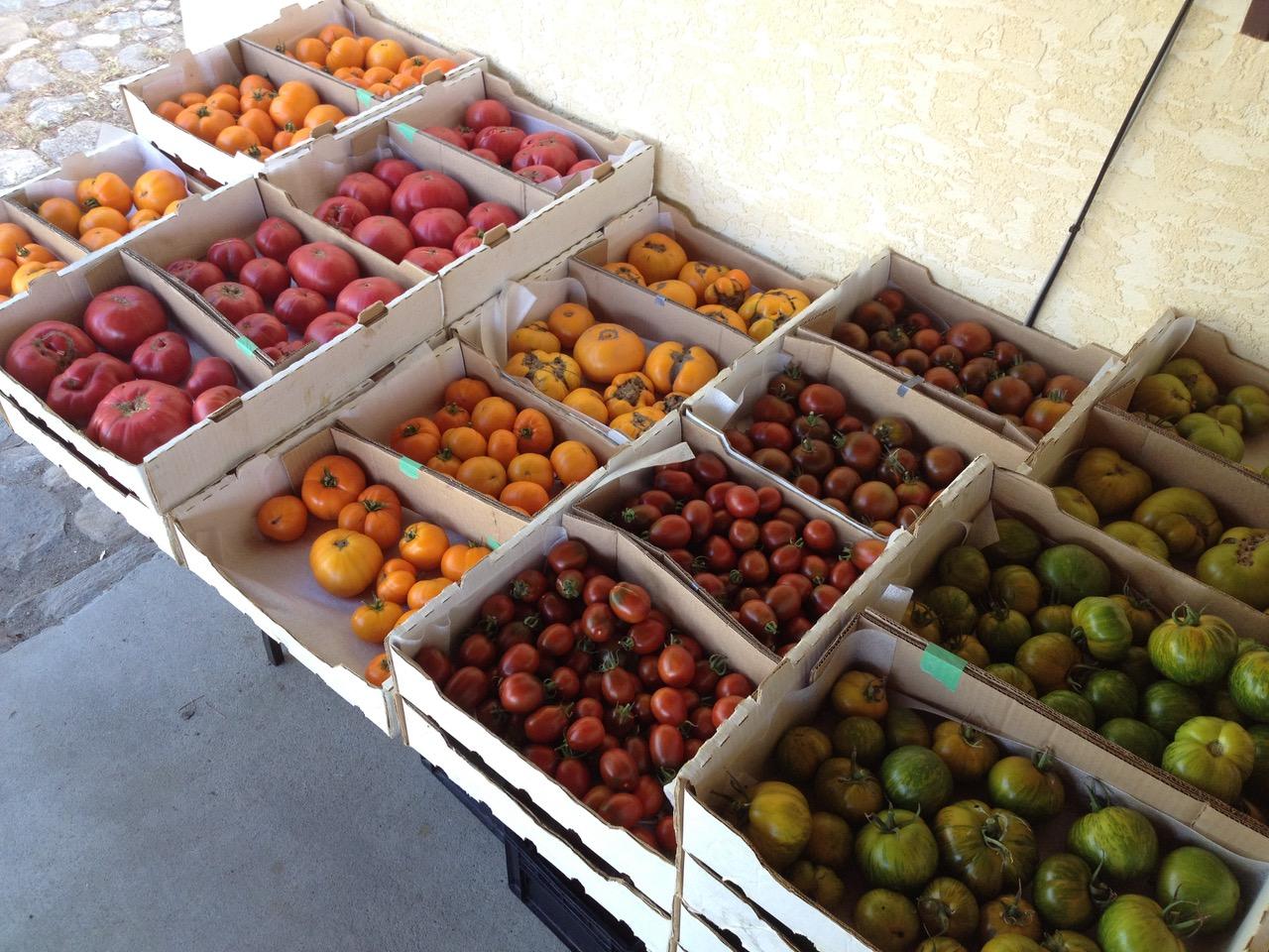 How an Way With Heirloom Tomatoes Built a Kelowna Farmer