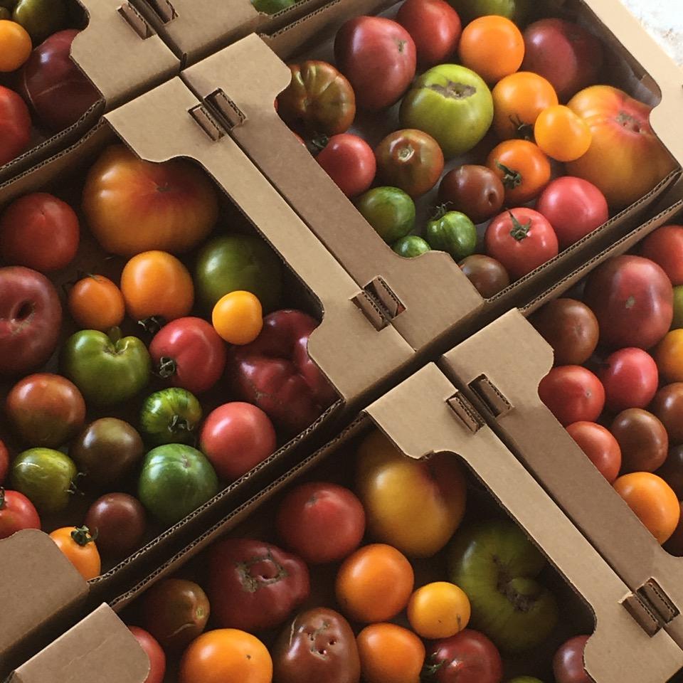 How an Way With Heirloom Tomatoes Built a Kelowna Farmer