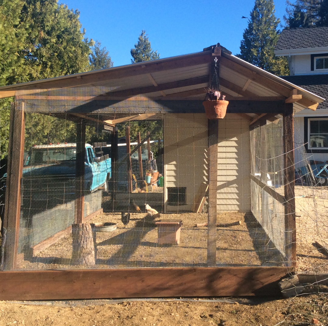 Predator Proof Chicken Coop Plans at Reeves blog