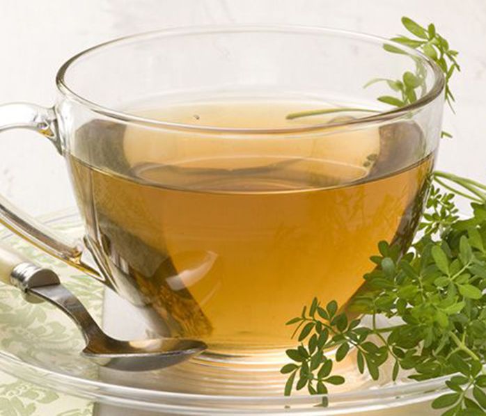 6 Tips sobre el té de ruda Monterizos