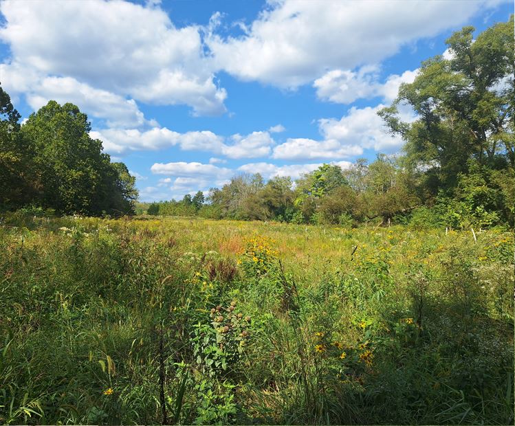 2023 Environmental Stewardship Award Winner