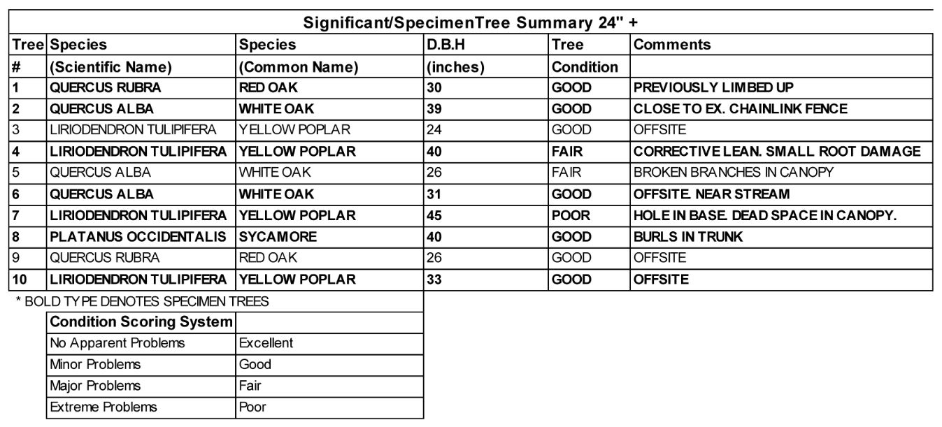 Tree Table Example Montgomery Planning