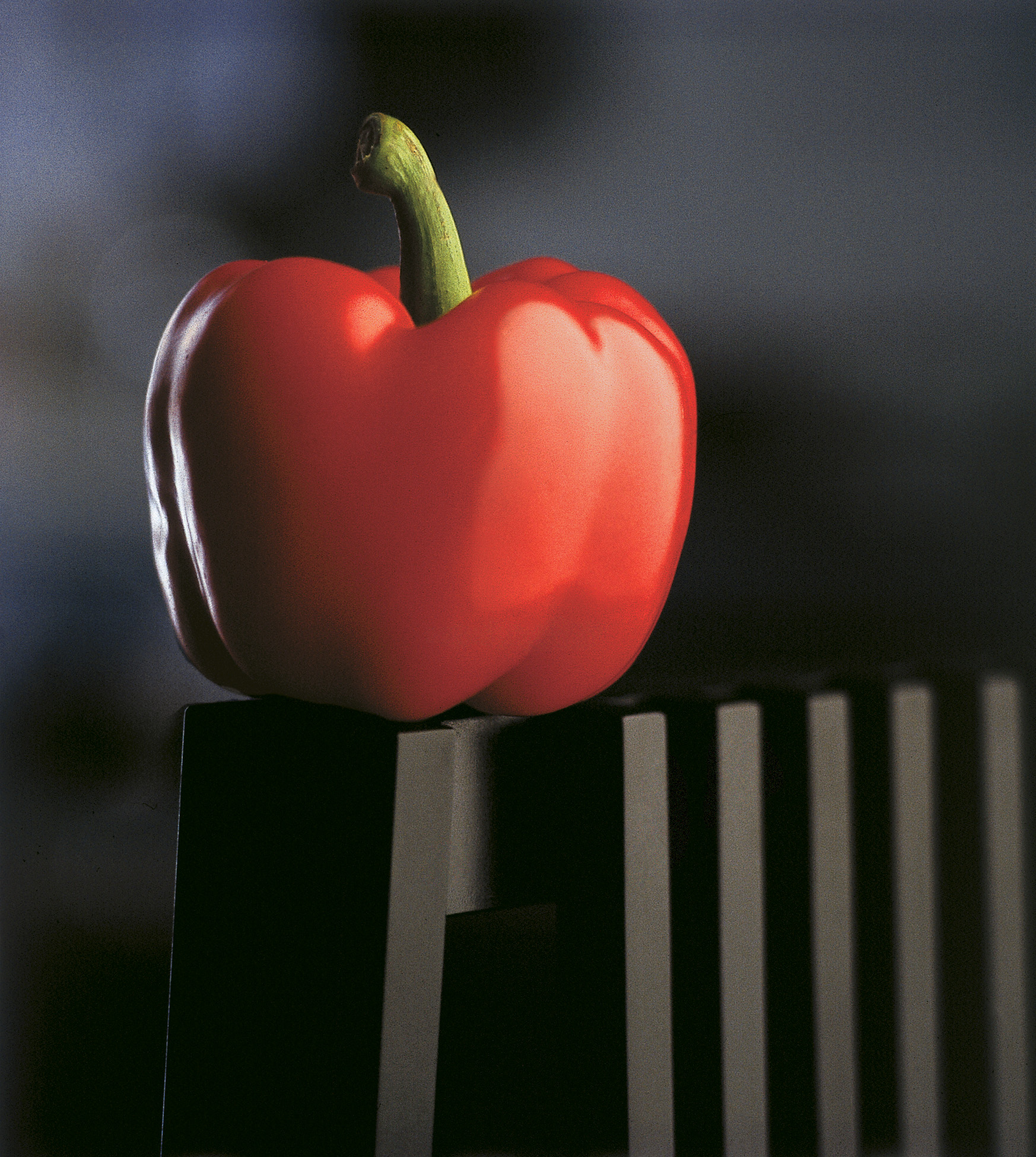 Specular Light Photography