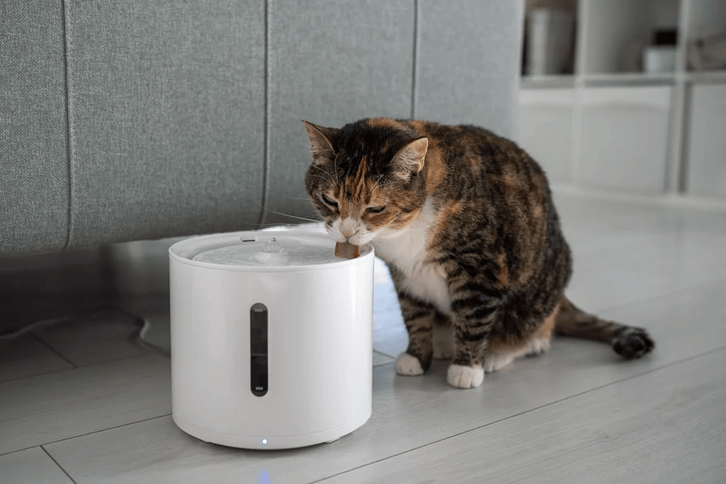 Managing Feline Idiopathic Cystitis Effectively