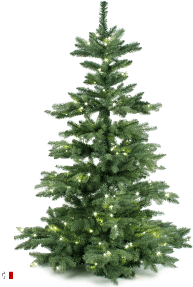 Mit Weihnachten kannst du rechnen Der größte Weihnachtsbaum der Welt