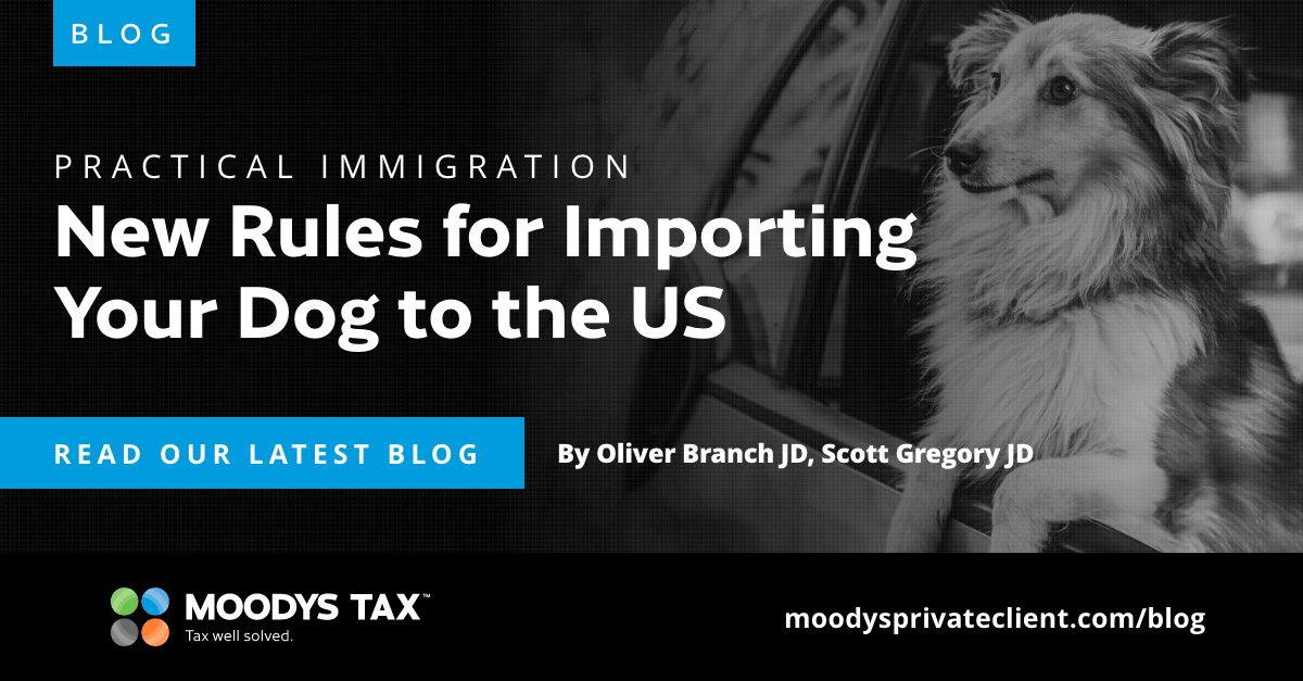 Practical Immigration New Rules for Importing Your Dog to the US Moodys Private Client