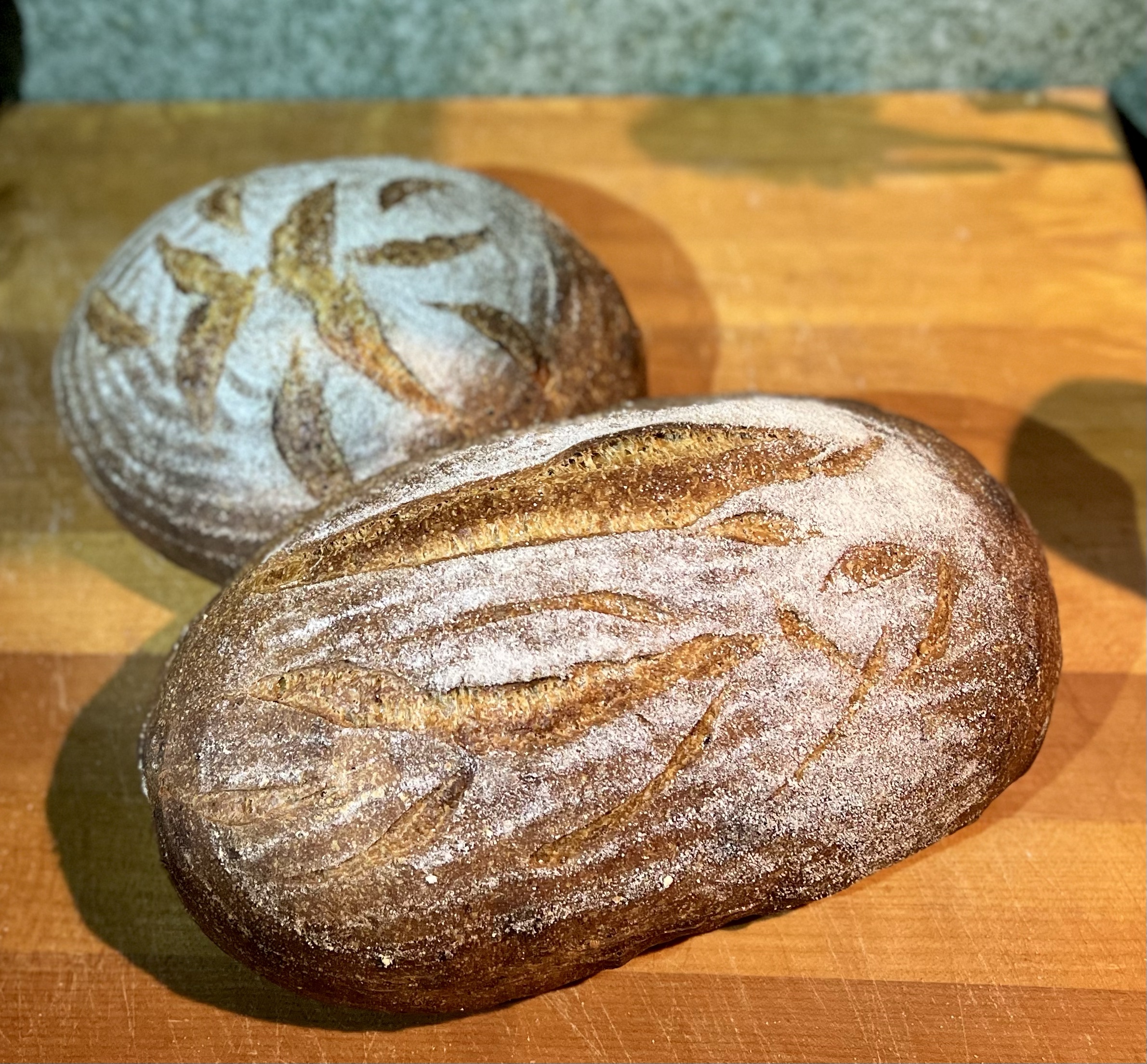 DurumQuanah (Whole Wheat) Grits Bread mookielovesbread