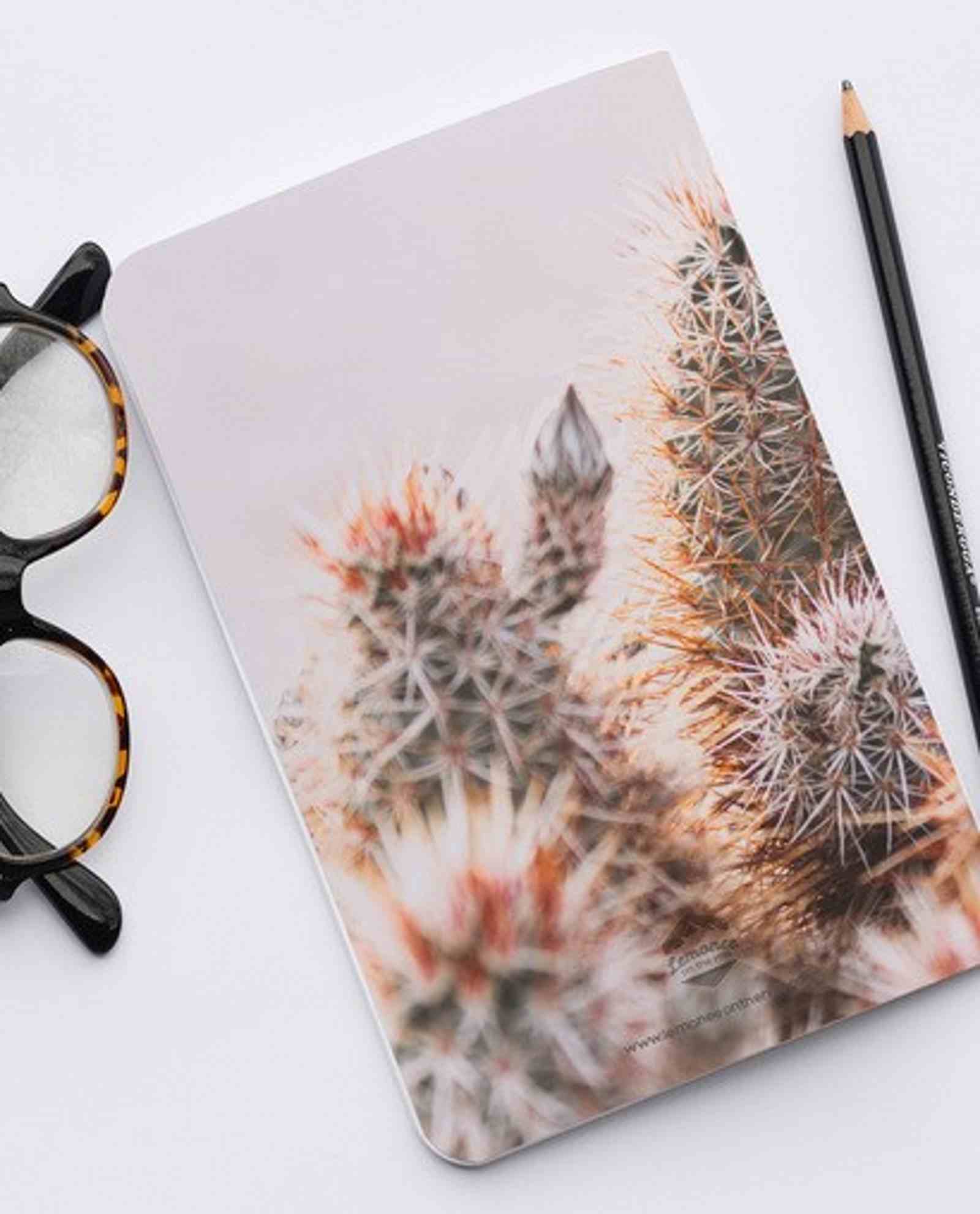 Journal cactus II Mookstories