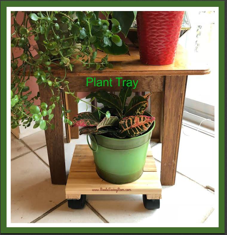 Make it Mondays Plant Tray Moola Saving Mom
