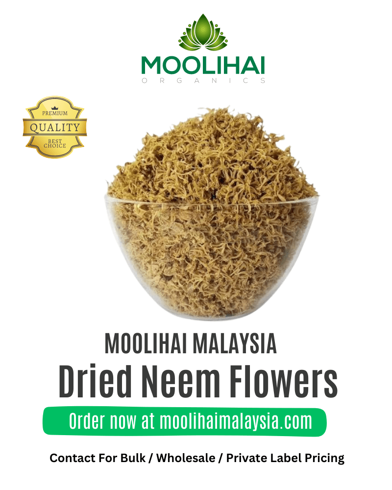Natural Dried Neem Flowers Moolihai Malaysia