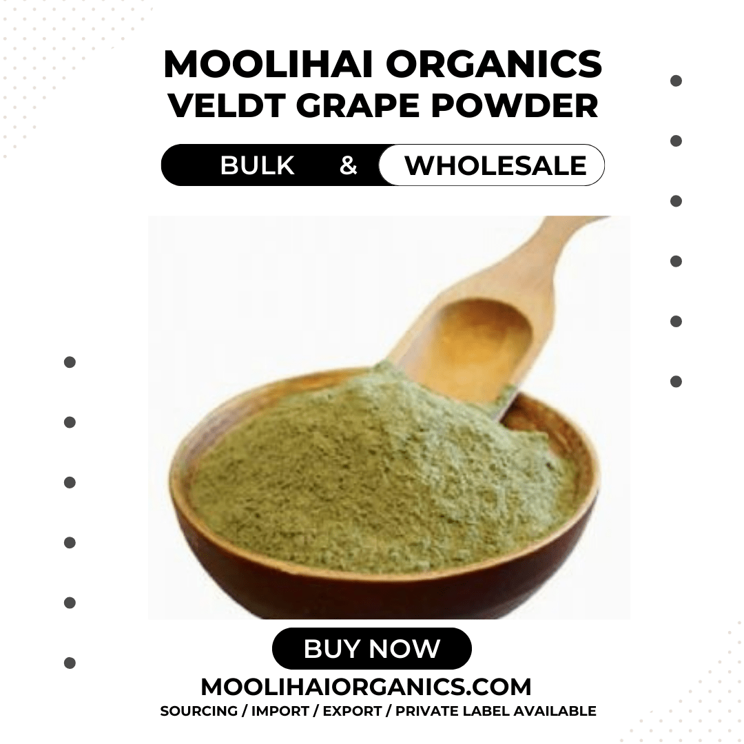 Veldt Grape Powder / Pirandai Podi / Hadjod 1 kg Buy Herbs Bulk Online Herbal Apothecary