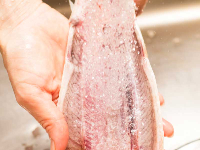 魚アレルギーの怖い症状！白身？赤身？魚卵は？離乳食も注意 マーミー