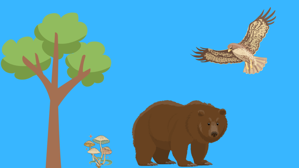 Biotic and Abiotic Factors MooMoo Math