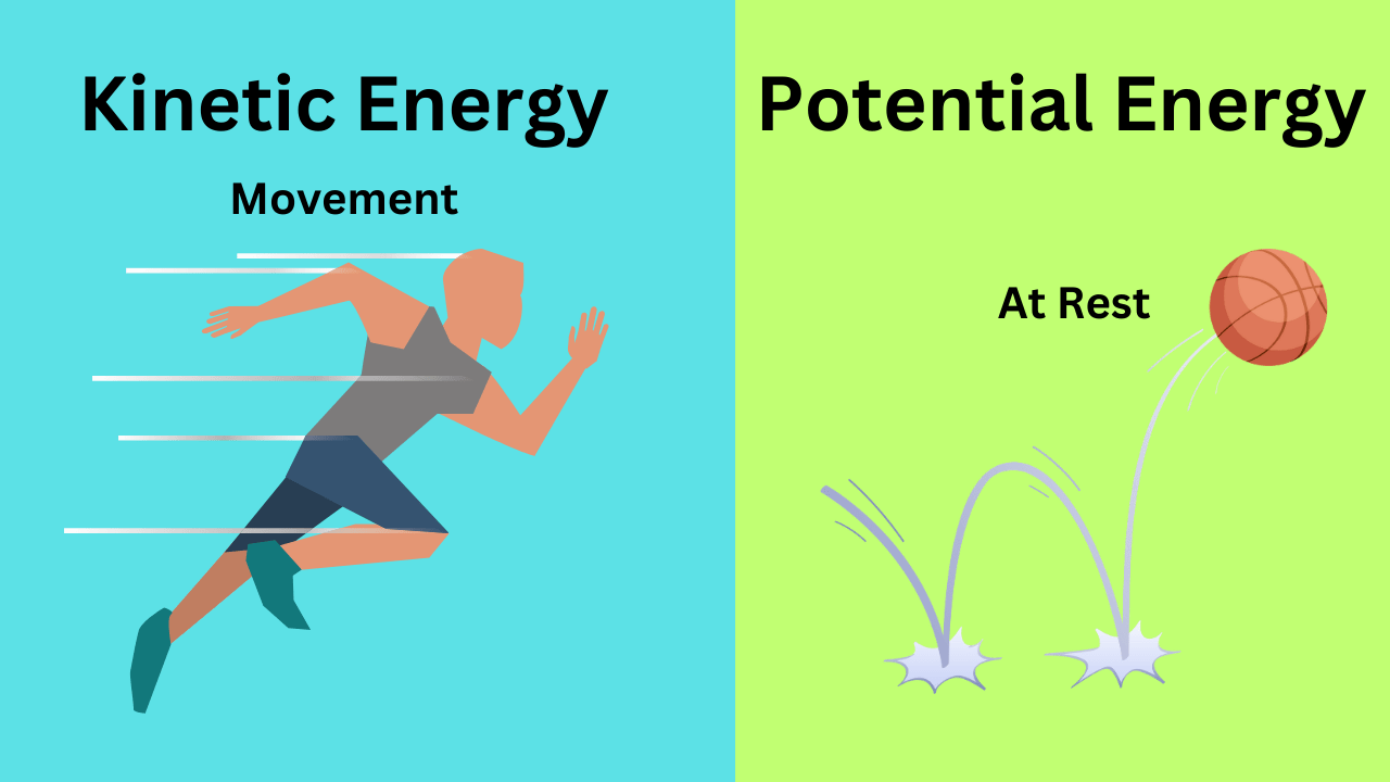Potential Energy vs Energy MooMoo Math