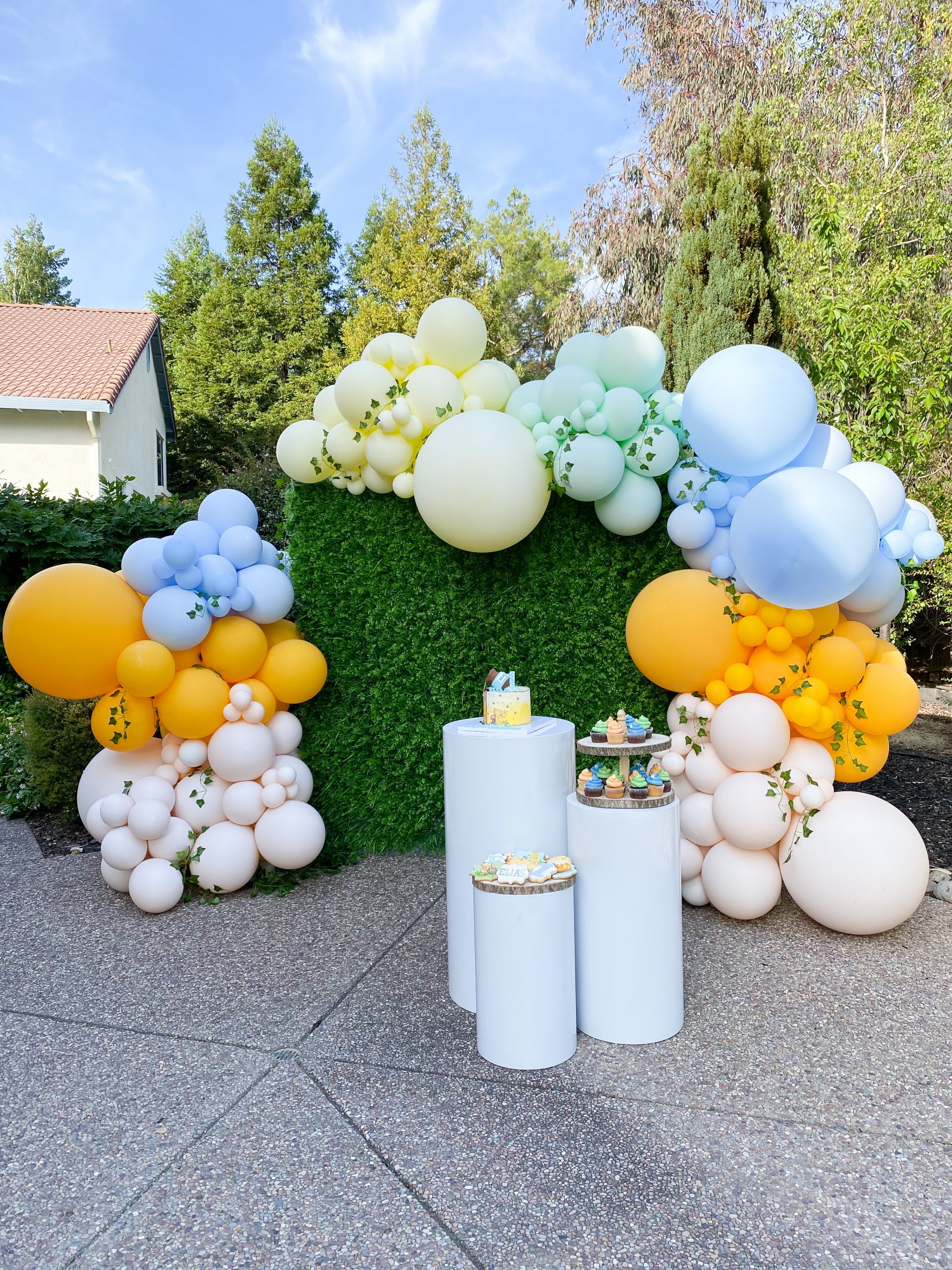 Green Wall Balloon Backdrop MOON & BLOOMS