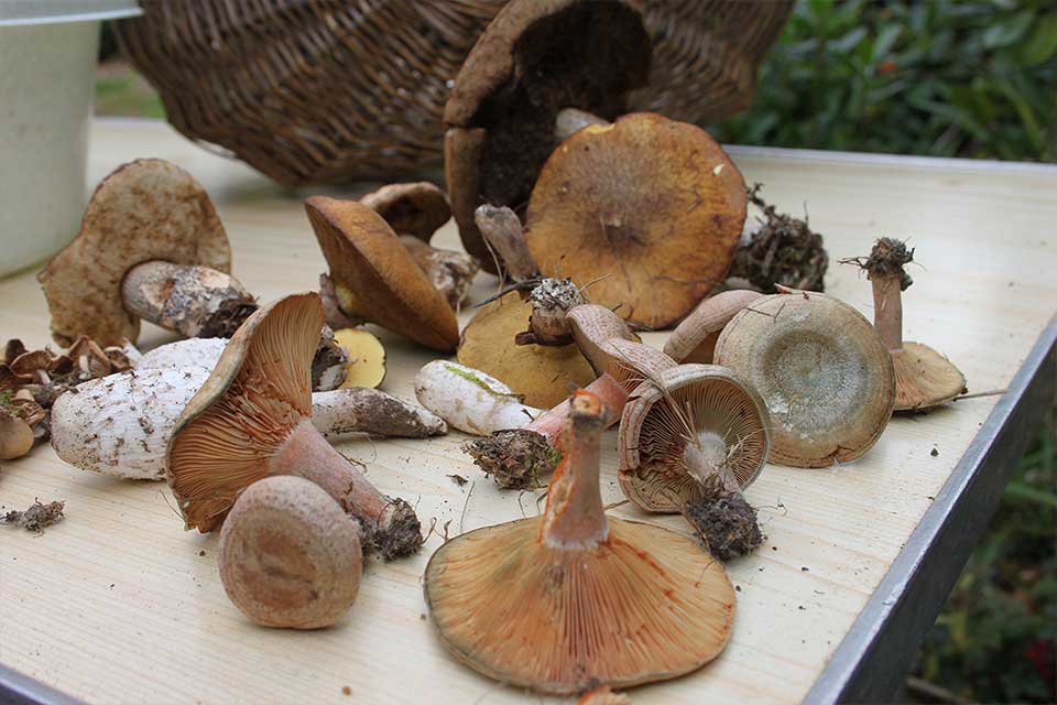 Moon Down Tunbridge Wells Moon Down