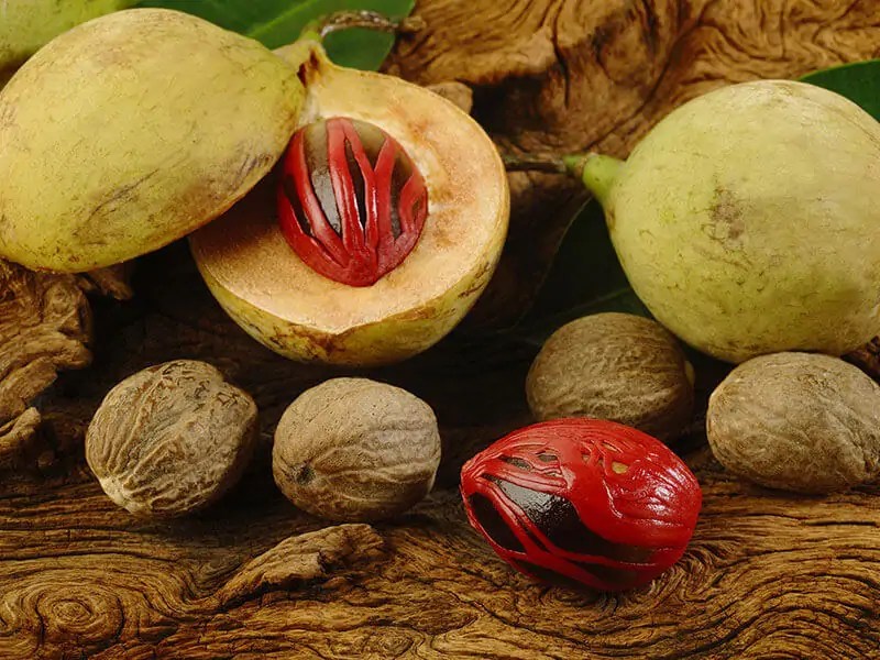 Bulk Spice of the Month Nutmeg Moonflower Community Cooperative