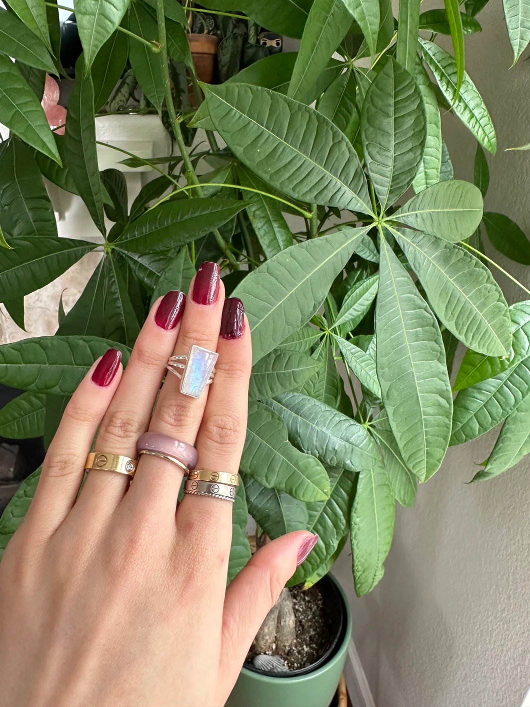 Premium Blue Flash Moonstone Silver & Platinum Crystal Ring Size 5 Fro