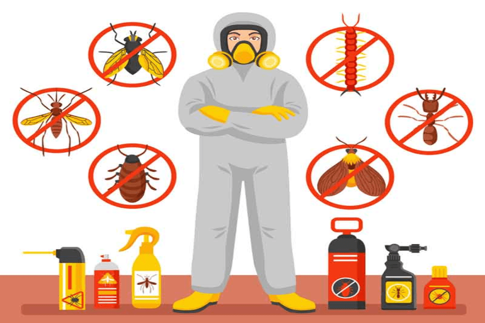 Moonlight Cleaning Cleaning Services