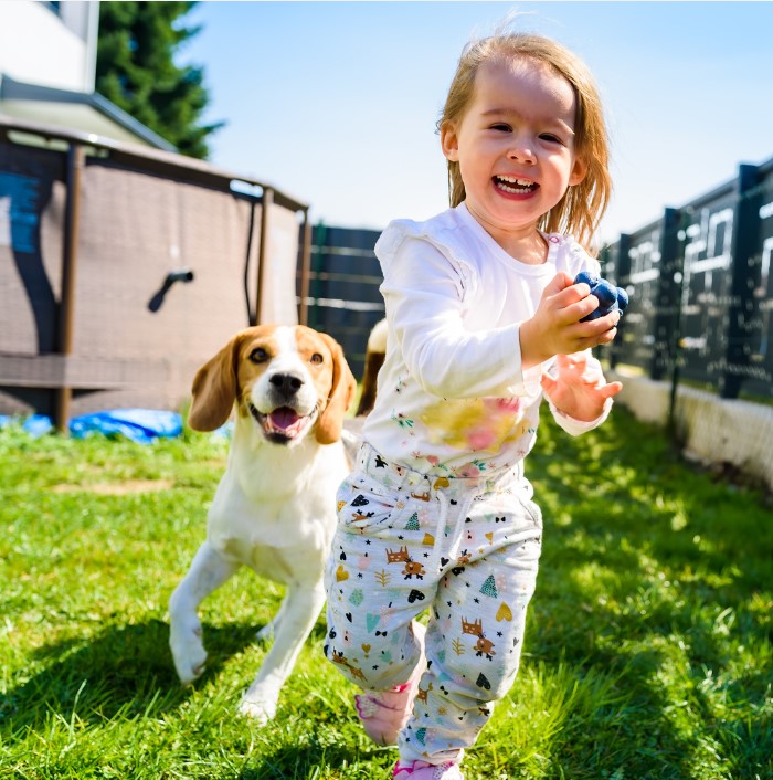 Vaccination And Parasite Prevention For Pets