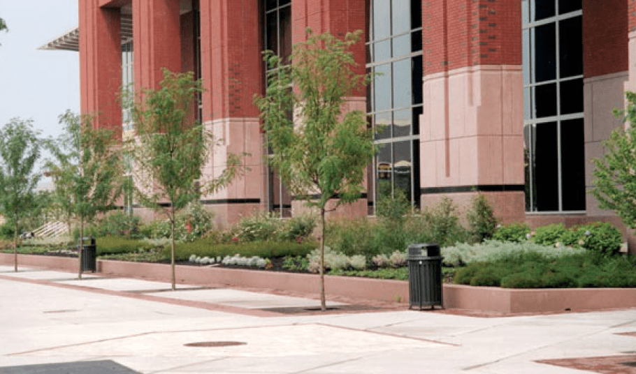 Our Gallery Moon Nurseries