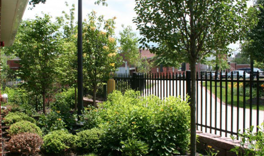 Our Gallery Moon Nurseries