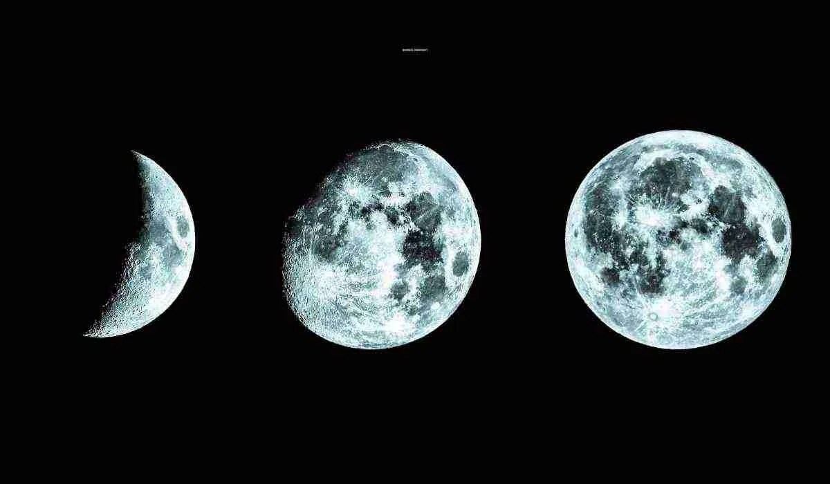 Moon Phase Compatibility Calculator Moonphase Compatibility