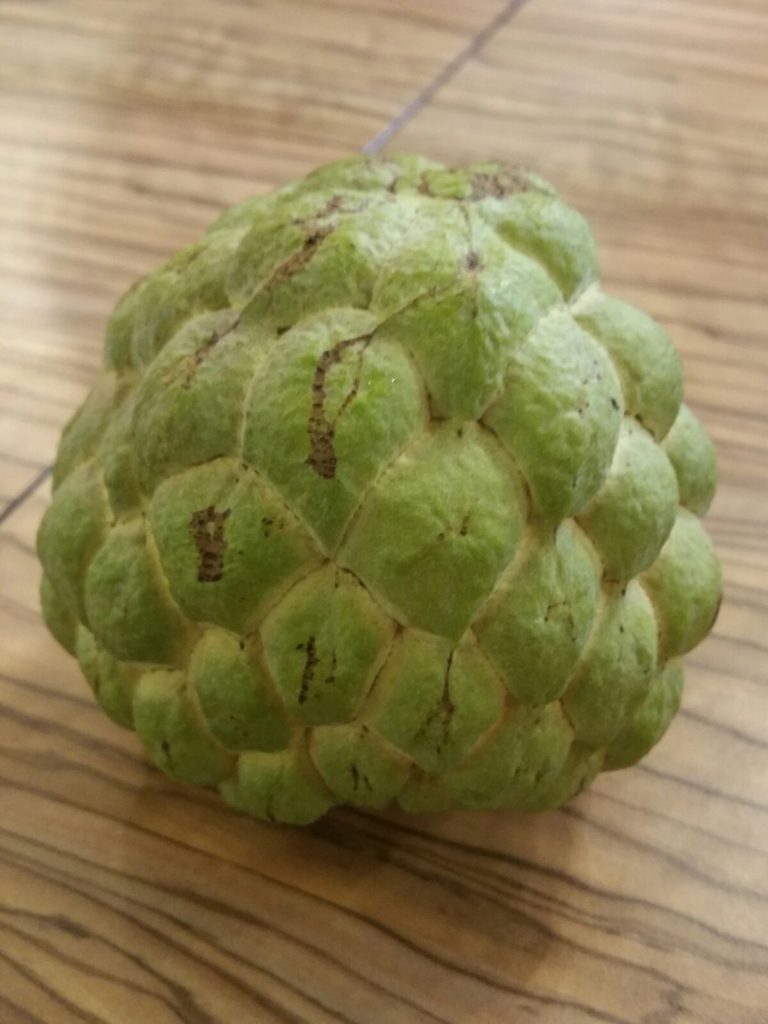 Buddha Head Fruit Moonpointer Buddhist Blog of Everyday Dharma