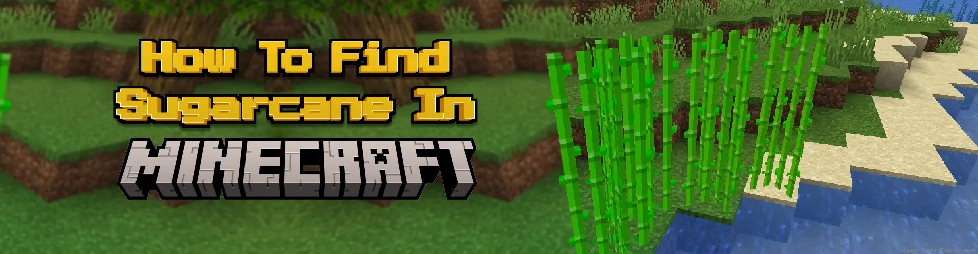 How to Find Sugar Cane in Minecraft (in 5 Minutes)