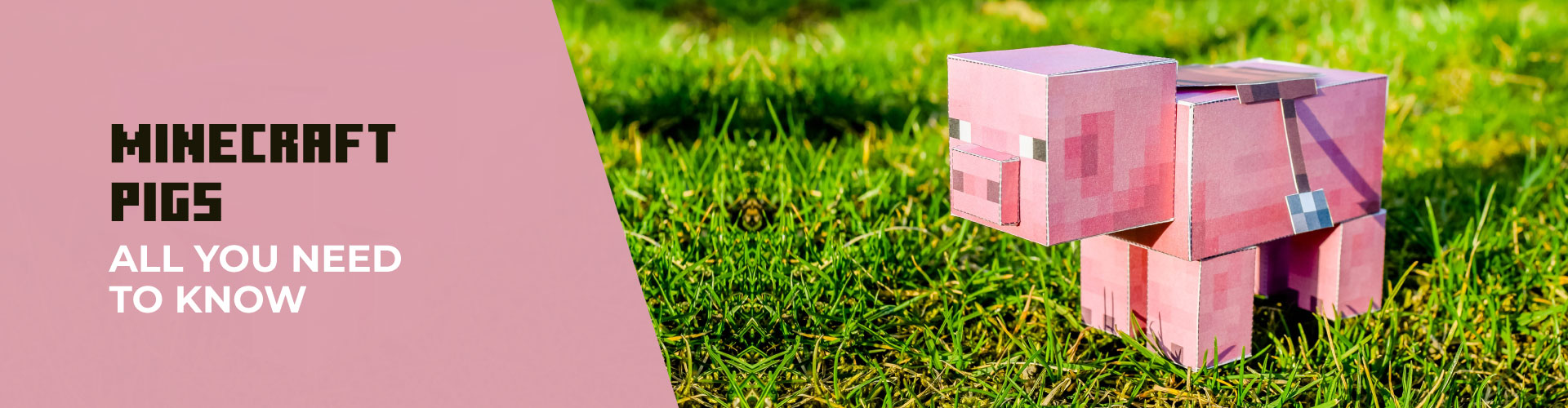 Minecraft Pigs All you need to Know About