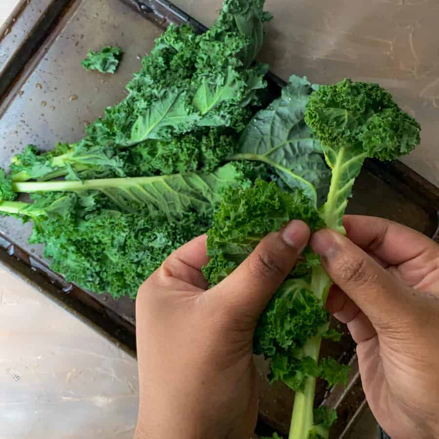 Indian Crispy Curly Kale Chaat Appetizer