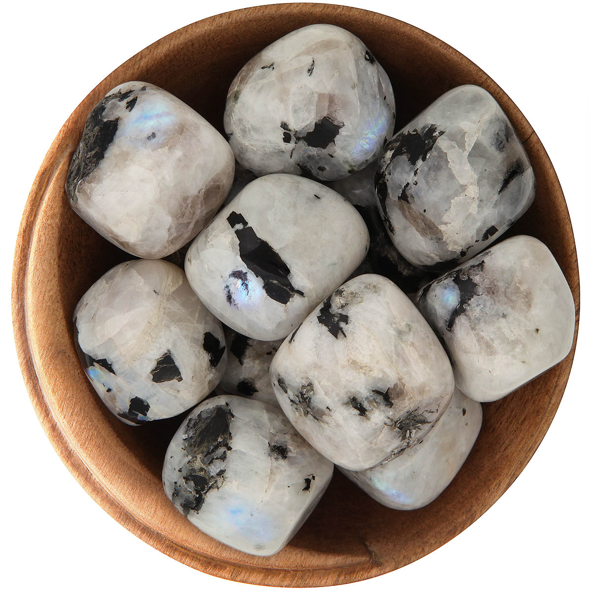 Kambaba Jasper Meaning Healing, Mineralogy, & History