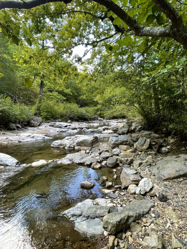 Gallery Moonshine Acres Wolf Pen