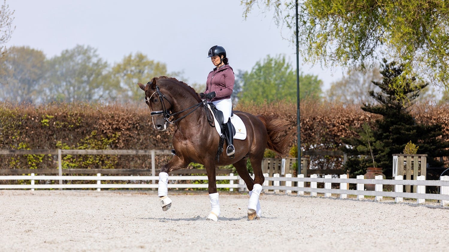 Dressage Brazilian Olympic Dressage Rider Suspended For Three Years