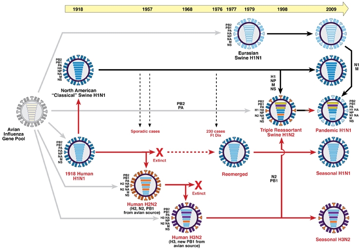 [Issue] Types of avian influenza in humans