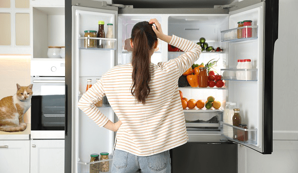 How to Fix a Frigidaire Refrigerator Not Cooling Moore Appliance Service