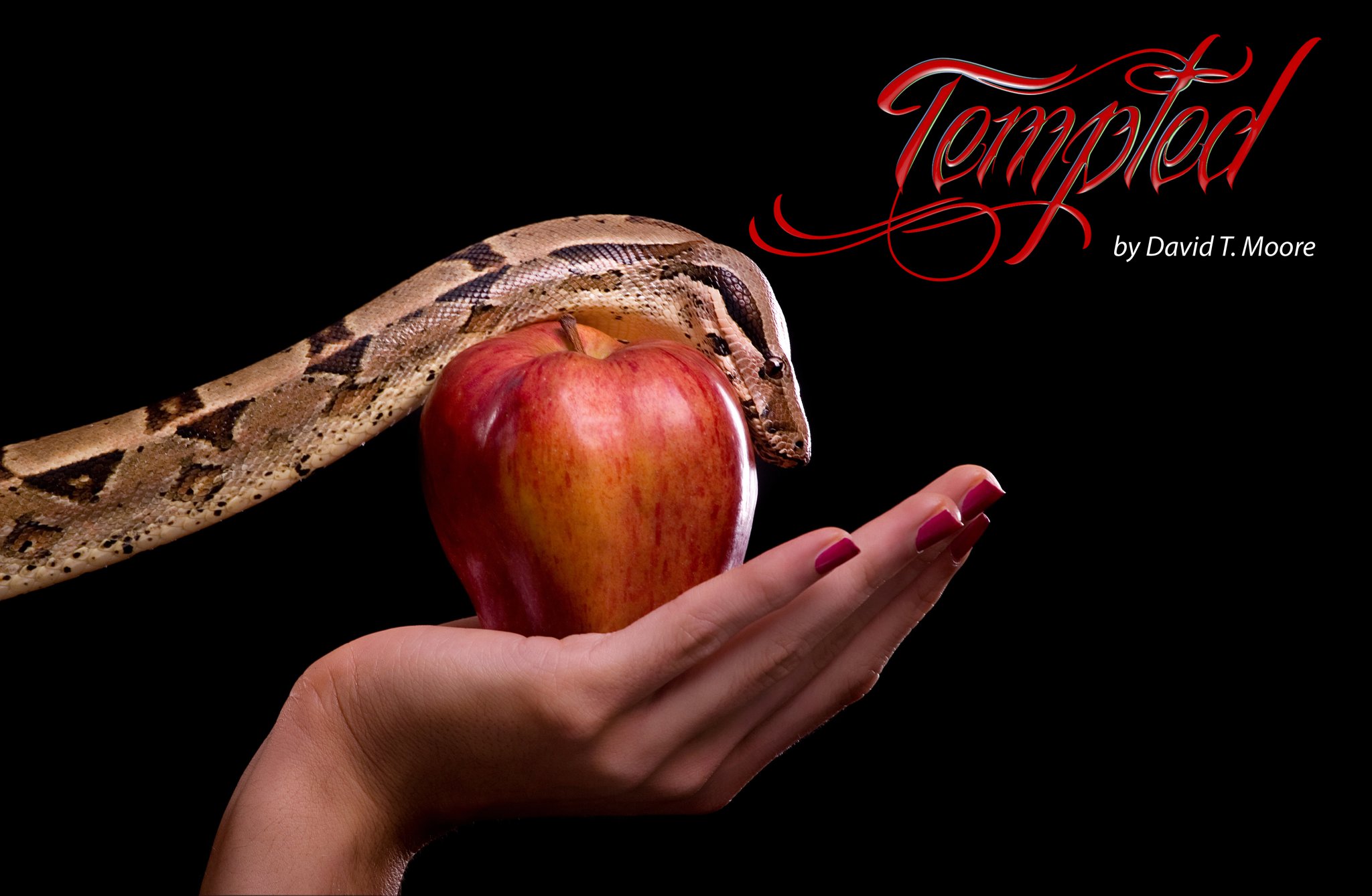 Tempted « Moore On Life