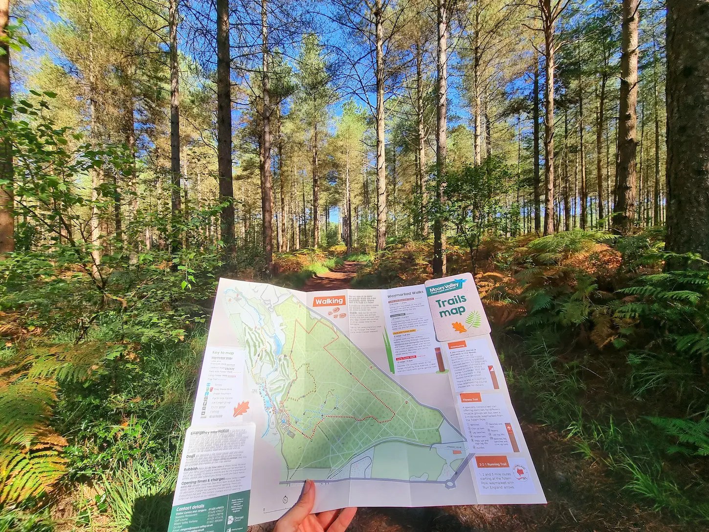 Maps Moors Valley Country Park & Forest