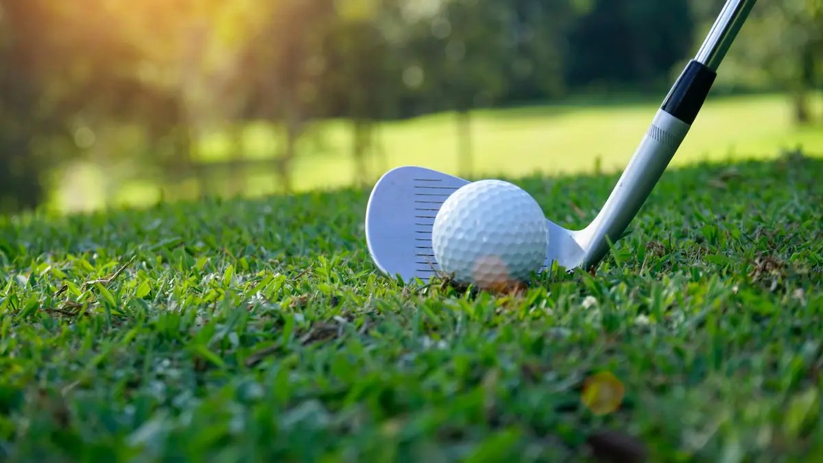 5 Hole Pitch & Putt and Frisbee Golf Moors Valley Country Park