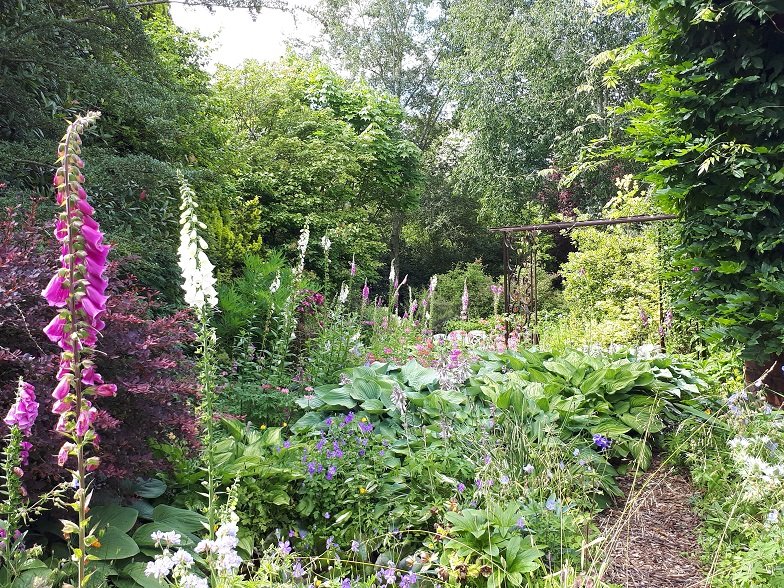 Gallery Moors Meadow Open Gardens and Nursery Bromyard Herefordshire