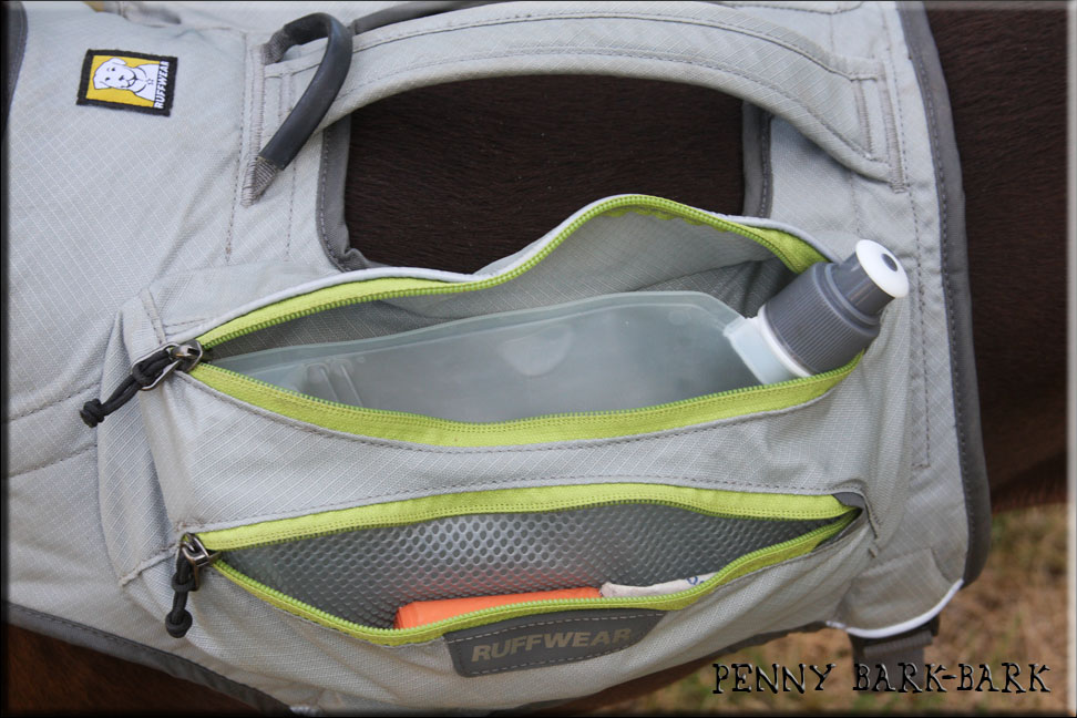 Ruffwear Singletrak Review (Backpack) Penny BarkBark