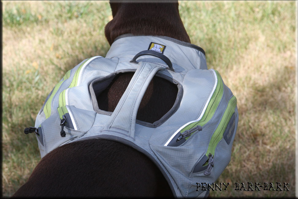 Ruffwear Singletrak Review (Backpack) Penny BarkBark