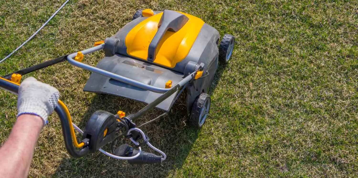 The Lawn Moss Killer Guide of 2021 How to get rid of moss MOOWY