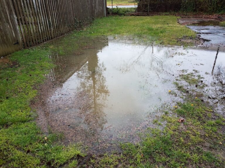 14 Reasons for Yellow Patches on your Lawn Let’s get rid of them! MOOWY