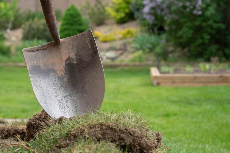 How to remove turf Complete guide MOOWY