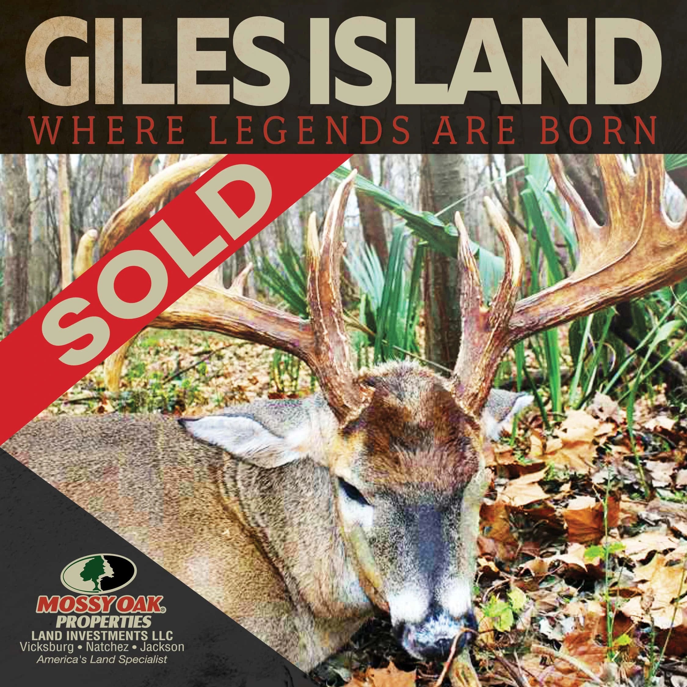 SOLD! Legendary Giles Island new owners Mossy Oak Properties