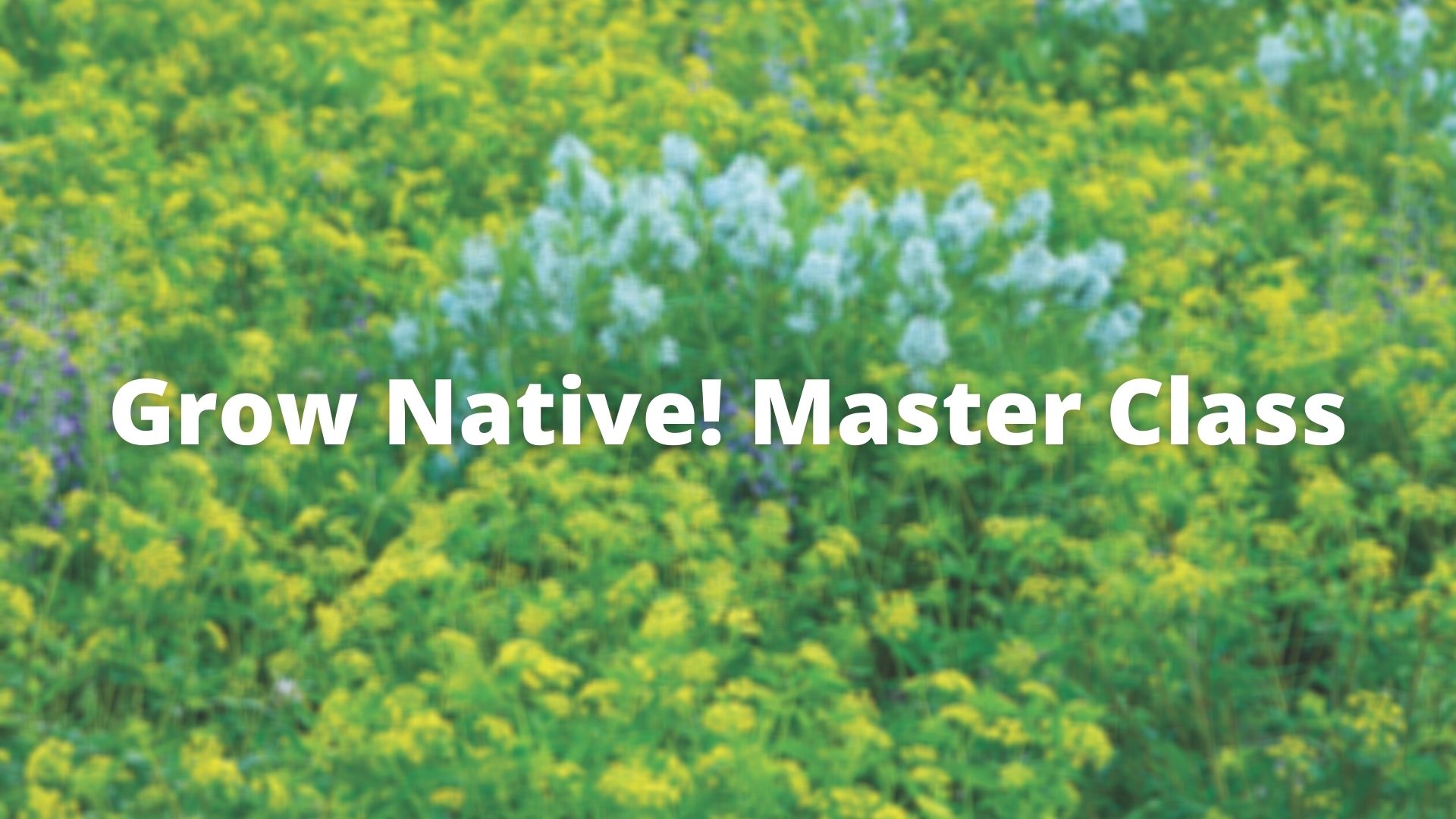Grow Native! Master Class Native Alternatives with James Faupel