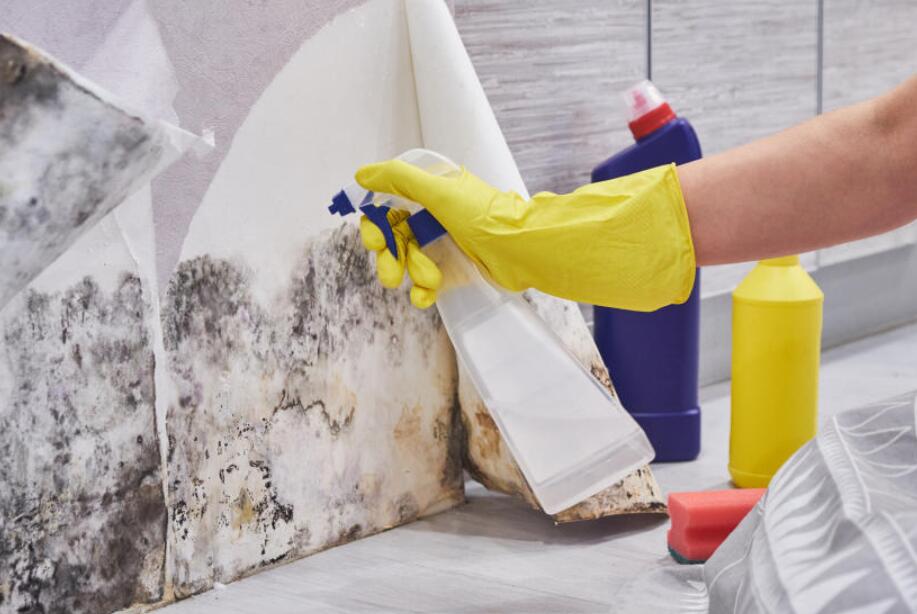 How to Clean Mold with Vinegar? Super Easy Tips!