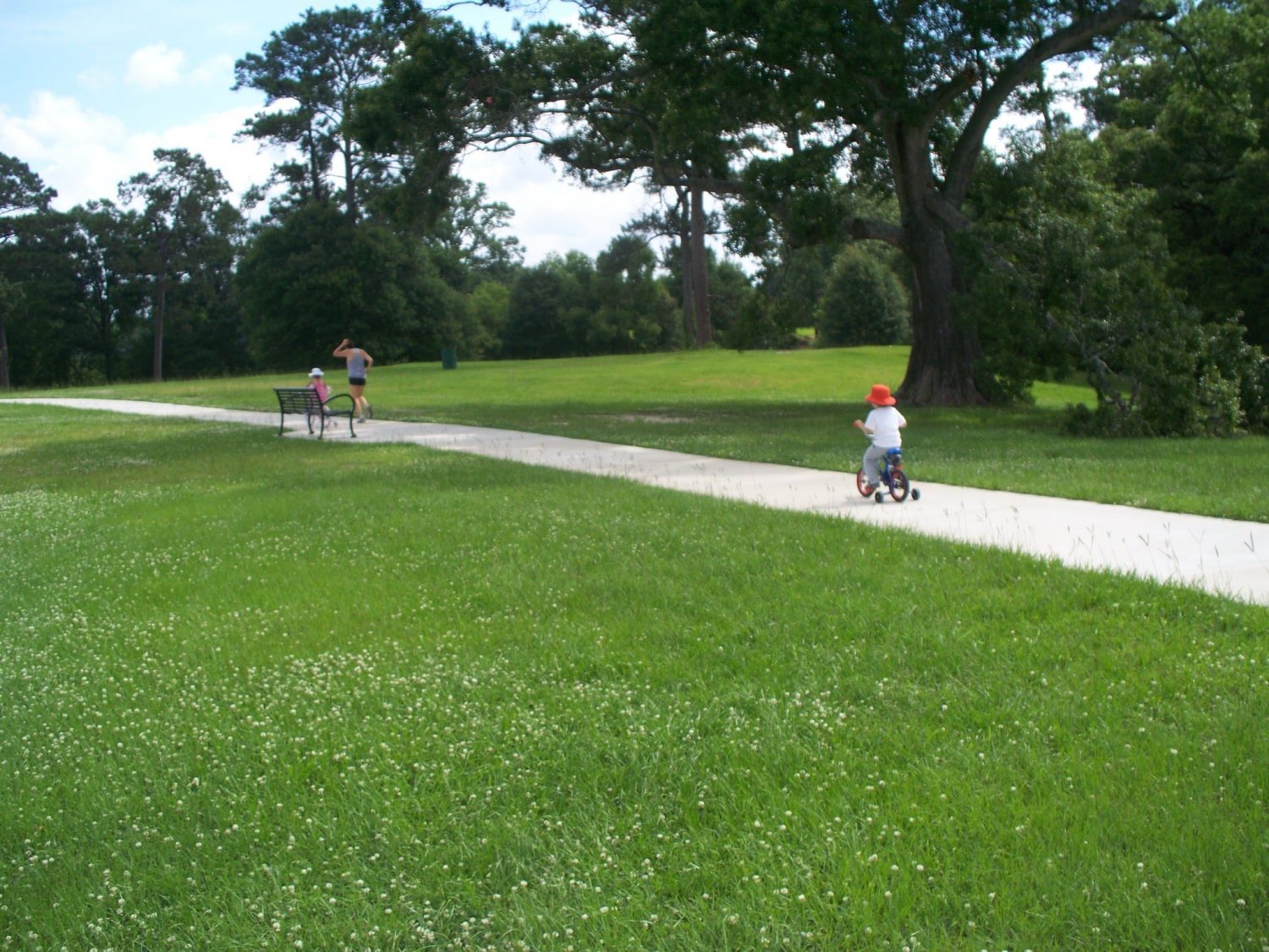 Independence Trail in the Works to Make MoRA More Pedestrian and Bike
