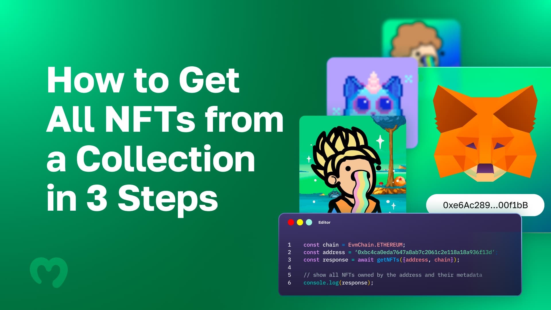 How to Get All NFTs from a Collection in 3 Steps Complete Guide